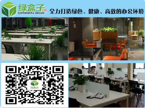 室內(nèi)擺什么植物好,室內(nèi)植物擺放你知道多少 室內(nèi)擺什么植物好,室內(nèi)植物擺放你知道多少
