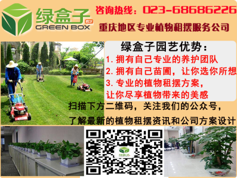 花卉植物養(yǎng)護主要從三個方面入手 花卉植物養(yǎng)護主要從三個方面入手