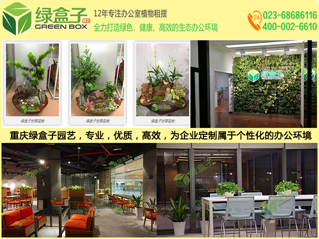 渝中植物租賃租擺選擇哪家好 渝中植物租賃租擺選擇哪家好
