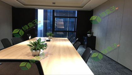 解放碑公司植物租賃植物推薦 解放碑公司植物租賃植物推薦