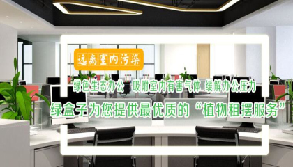 照母山植物租擺選擇哪家好,為什么選擇它好 照母山植物租擺選擇哪家好,為什么選擇它好