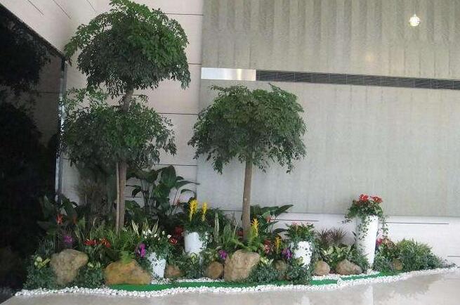 工廠植物租賃.jpg 工廠植物租賃.jpg