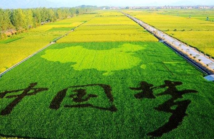 植物修建.jpg 植物修建.jpg