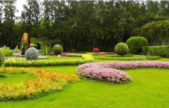 園林綠植養(yǎng)護.png 園林綠植養(yǎng)護.png