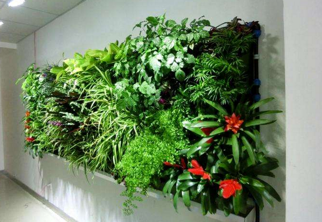 植物綠墻.png 植物綠墻.png