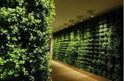 酒店綠植墻.jpg 酒店綠植墻.jpg