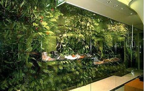 室內(nèi)植物墻.jpg 室內(nèi)植物墻.jpg