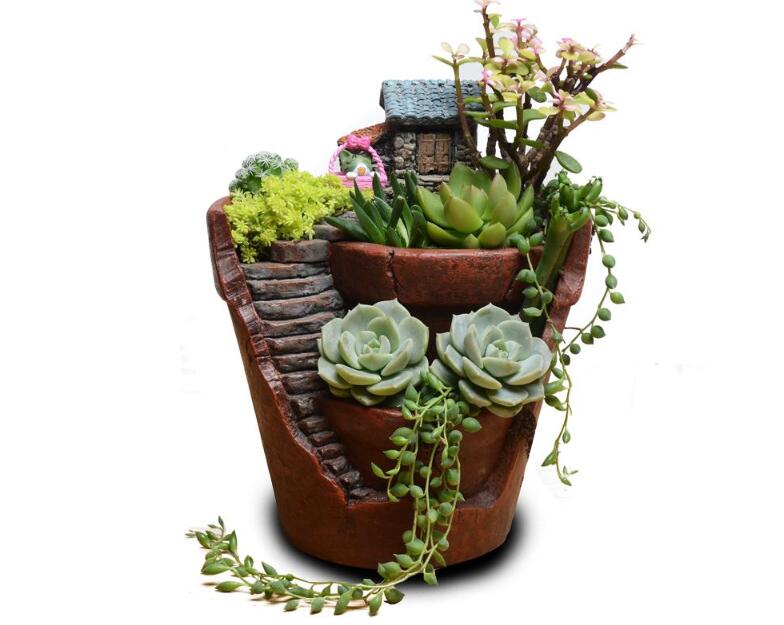 盆栽多肉.jpg 盆栽多肉.jpg