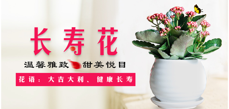 QQ截圖20200723162224.png QQ截圖20200723162224.png