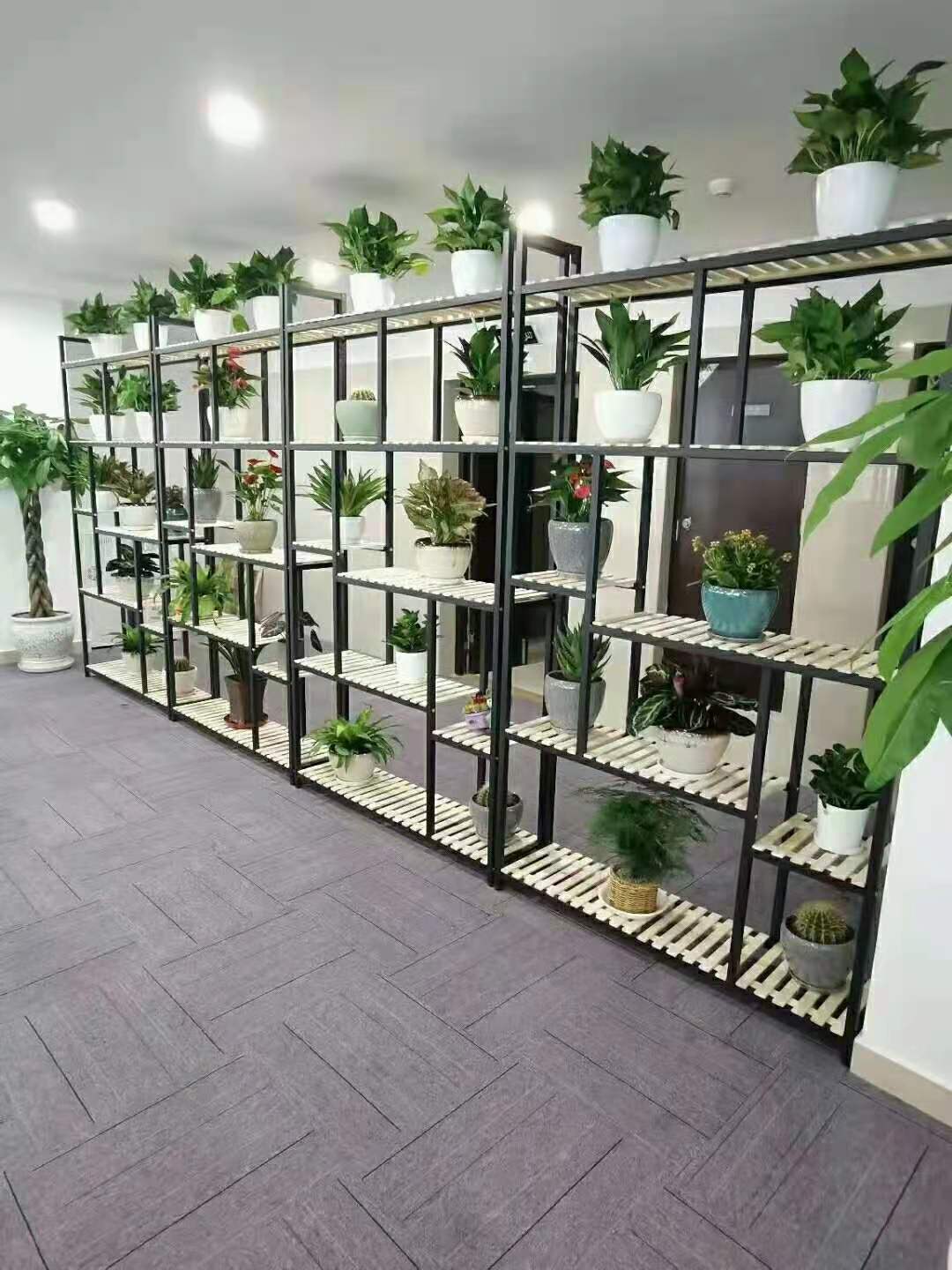 微信圖片_2021122110265531.jpg 微信圖片_2021122110265531.jpg
